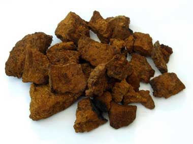 chaga.jpg